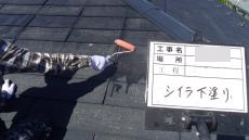 屋根ｼｰﾗｰ塗り中.JPG
