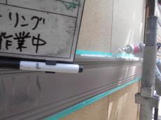 4.ｼｰﾘﾝｸﾞ中09.JPG