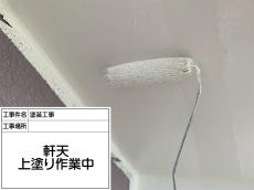 4.nokitennuwanuricyu10.JPG
