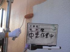8.壁、中塗り中13.JPG